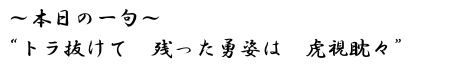 本日の一句　トラ抜けて　残った勇姿は　虎視眈々